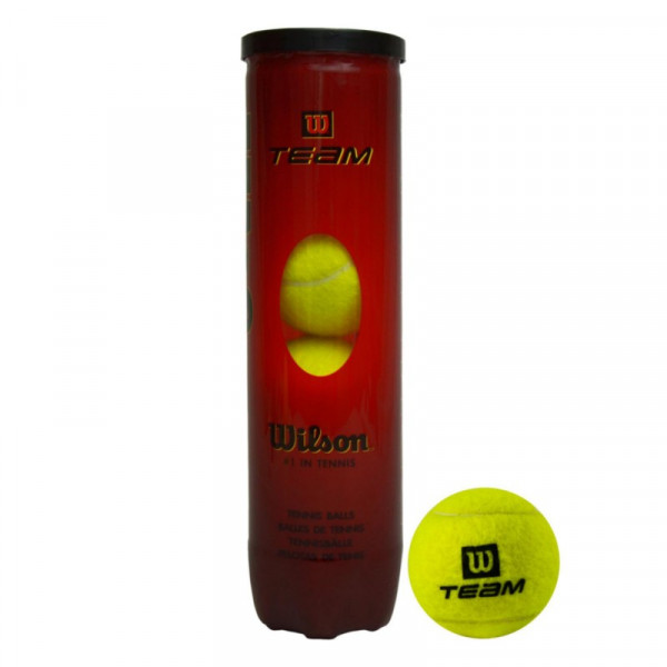 Мячи Wilson Team W Practice 4 Ball